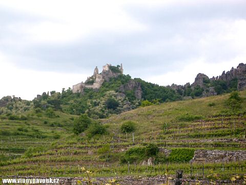 Dürnstein - vinice kolem zříceniny hradu